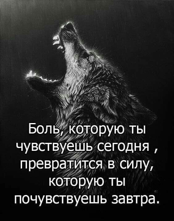 Болб:,ёкоторую ты чувствуешь сегодня , превратится в силу, которую ты почувствуешь завтра.