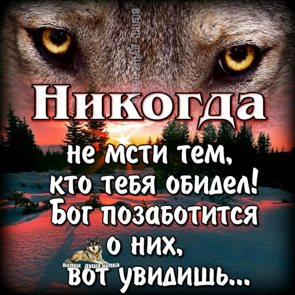 П гда не м