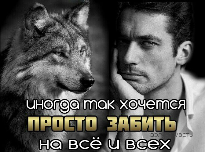 Хечеттея плем  чн 5а тп забиитьь про всё веех ле н