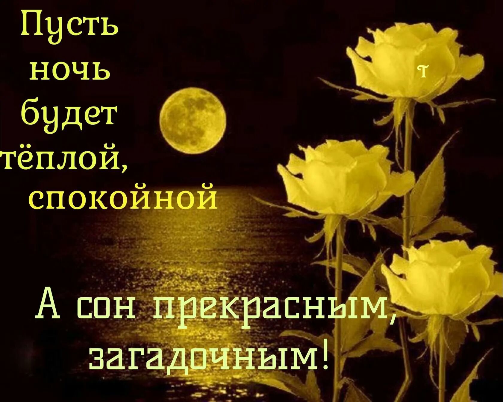 Пусть _ ночь _ т 9 будет _ тёплой т ЫКИНИ _ _ 1 А сон пргкрасньхм загадпчнымі до