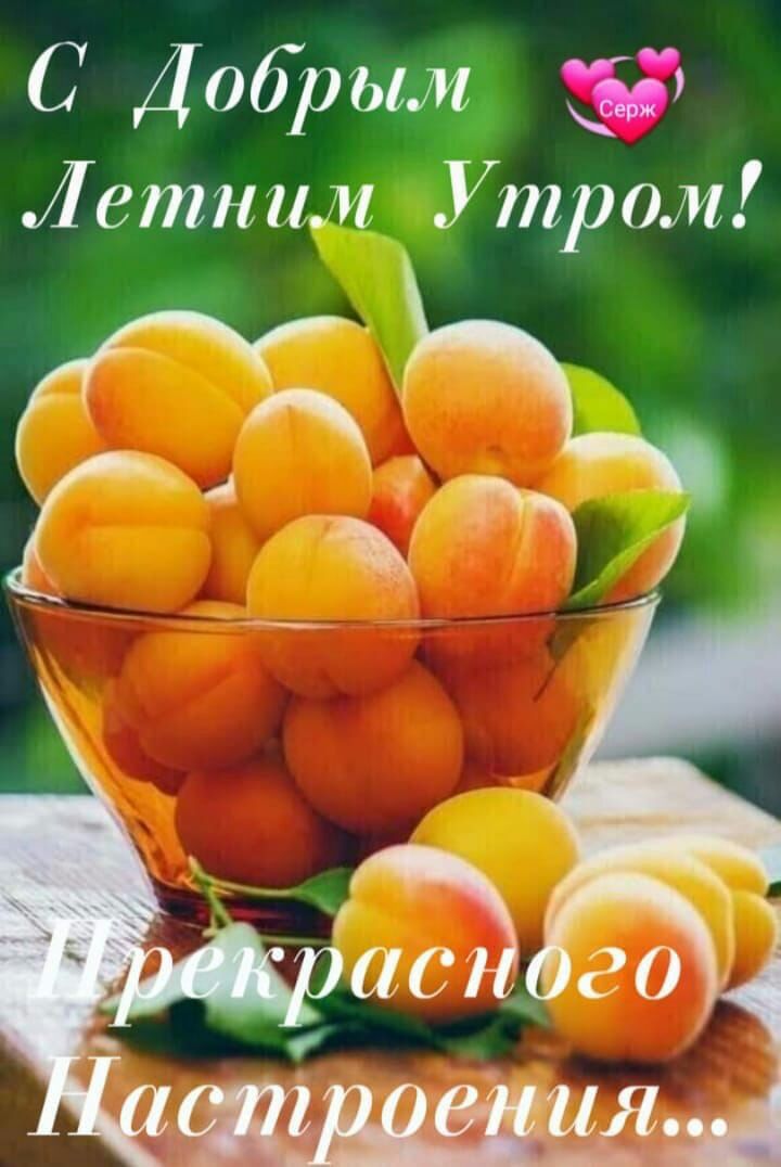 С Добрым Летним Утром