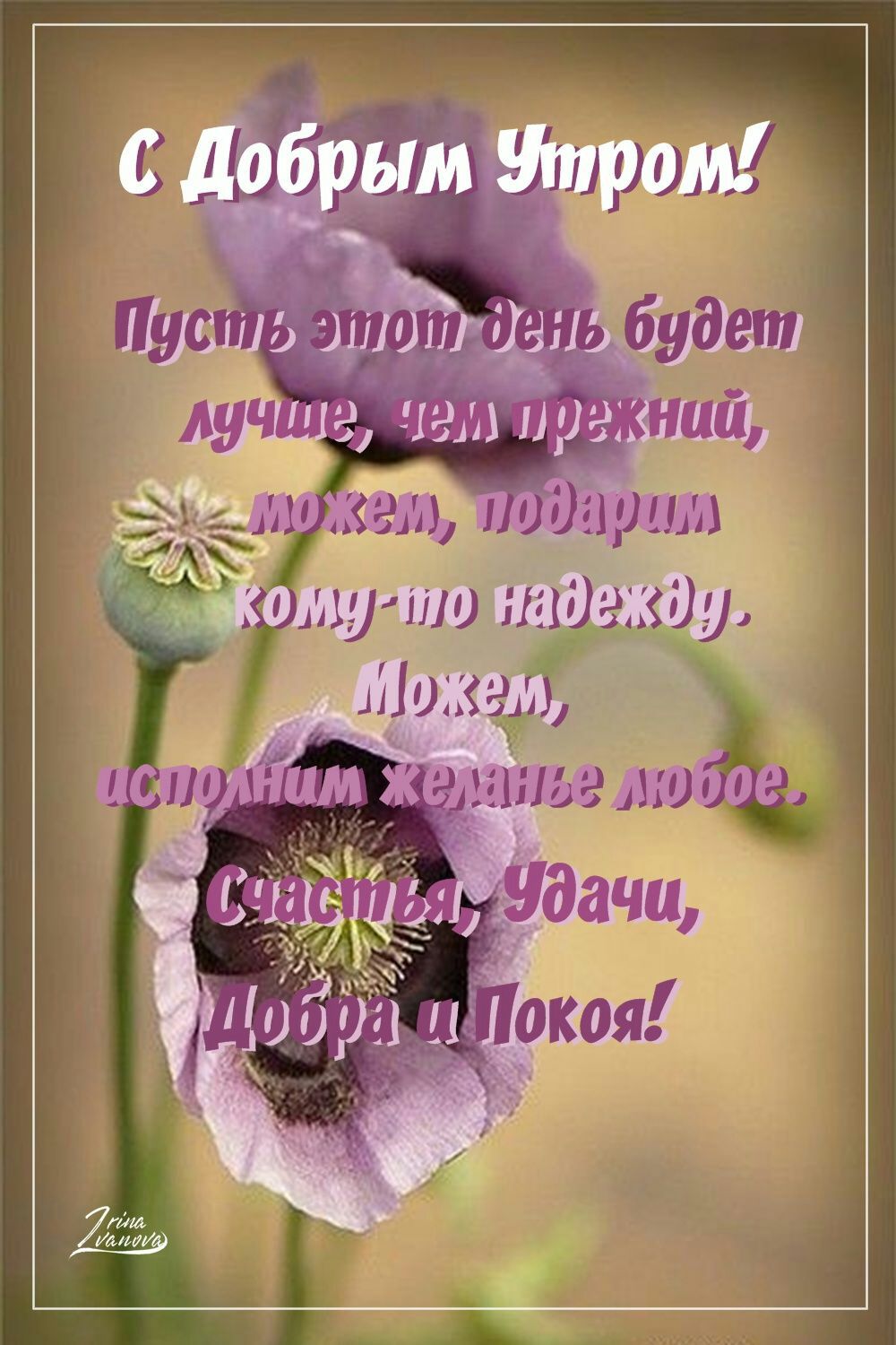 _ 1 кэш удар ощучио и 7 _ 1110445