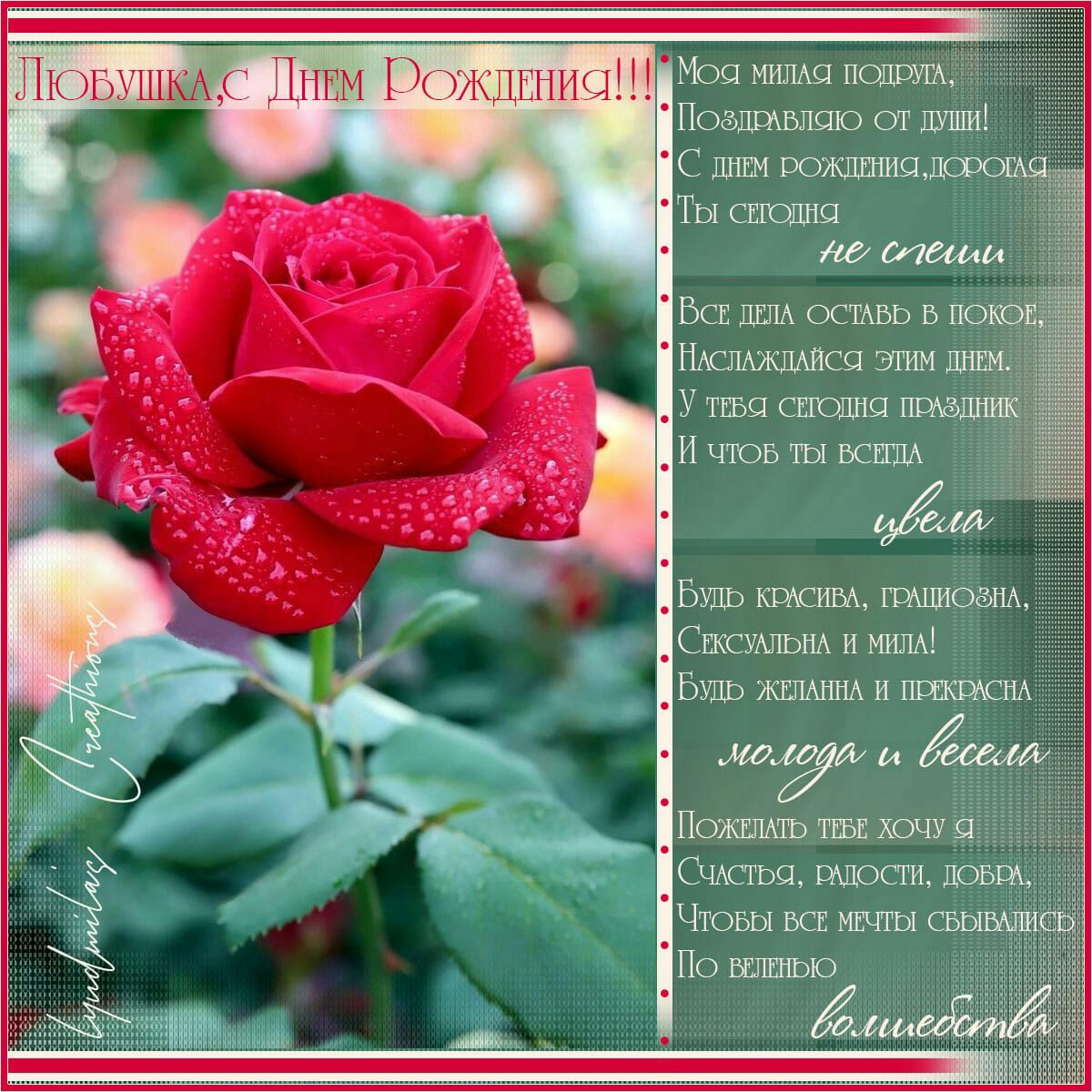 ЛЮБЪШЗАС ДНЕМ ЪЖДЕНИЩЁ