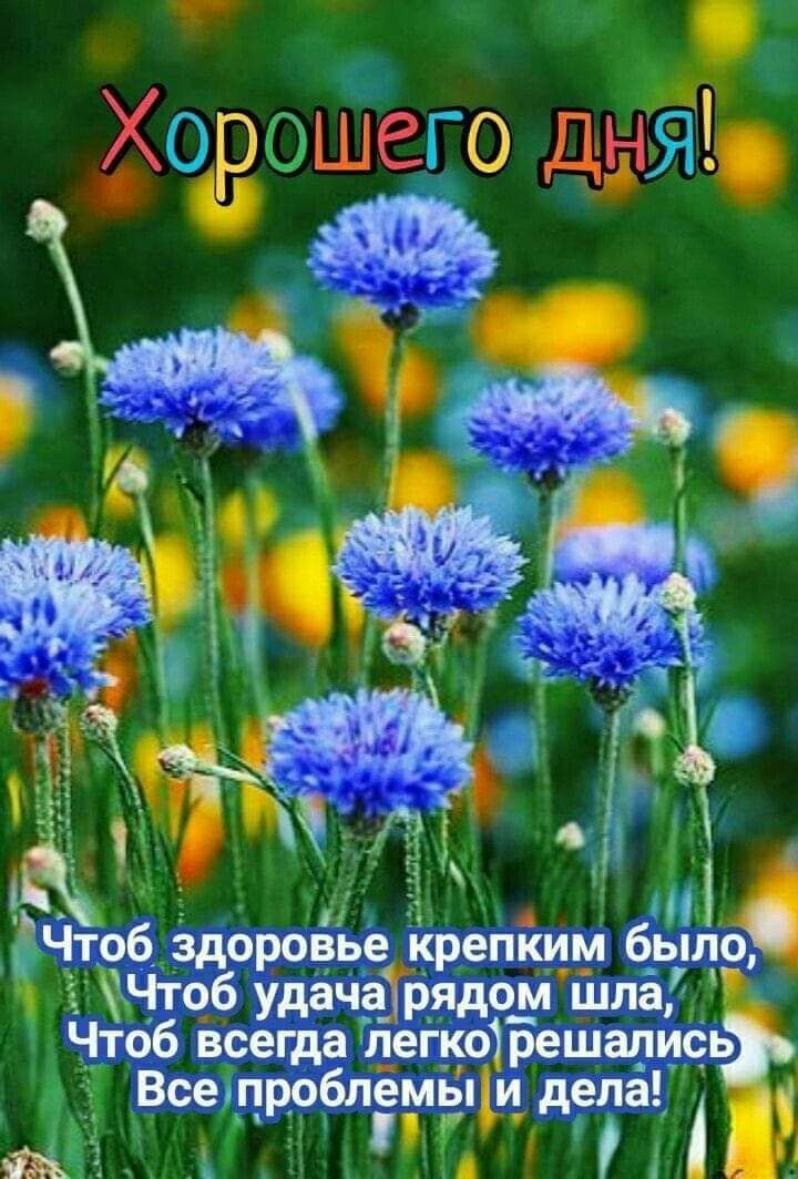 Чтоб здоровье крепким был о Чт Чтсдб удача рядом шла Чтоб всегда легко решались Все проблёмьпіи дела и 31 А