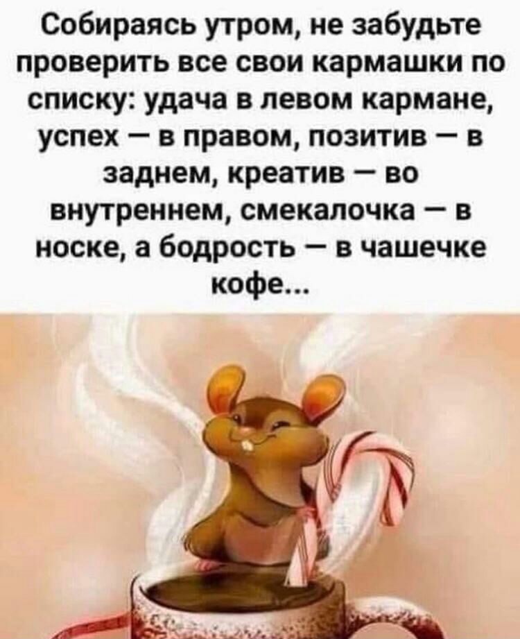 Собираясь утром не забудьте проверить все свои кармашки по списку удача в левом кармане успех в правом позитив в заднем креатив во внутреннем смекапочка в носке а бодрость в чашечке кофе
