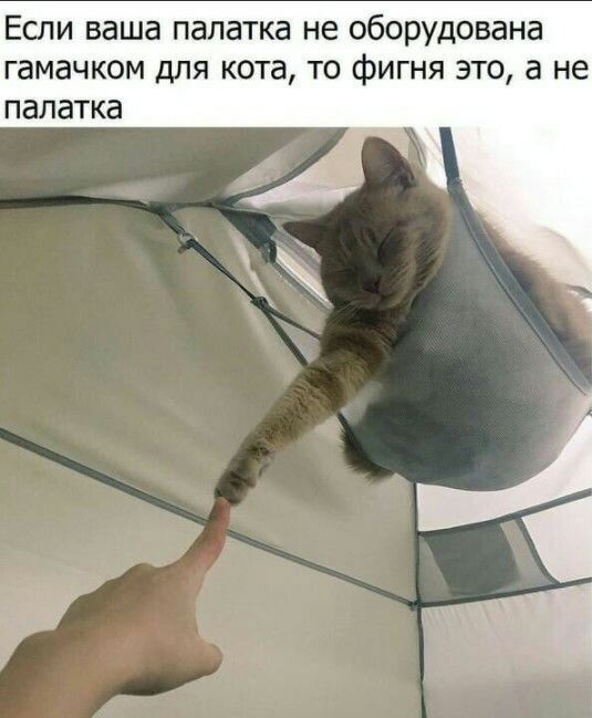 Если ваша палатка не оборудована гамачком для кота то фигня это а не палатка ЭУ