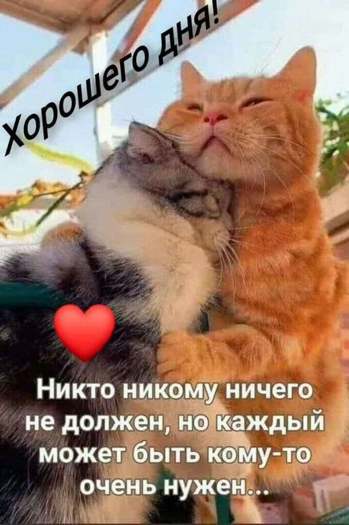 Никто никому ничего не должен ноъёкаждый может быть корфу то очень нужен и