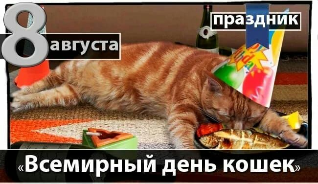 Книтеещио ст «всемирный день кошек,
