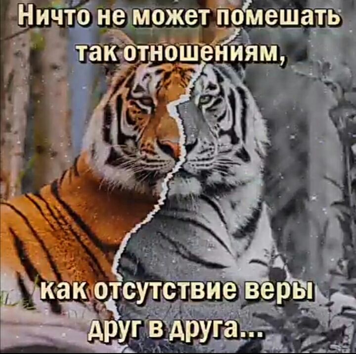 'йичтбиможет полешать
