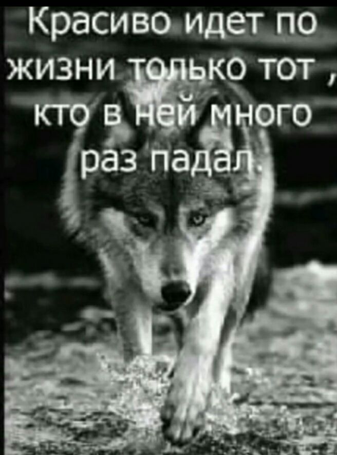 Красиво иде_т_ц_ ЖИЗНИ О ТОТ ЯО