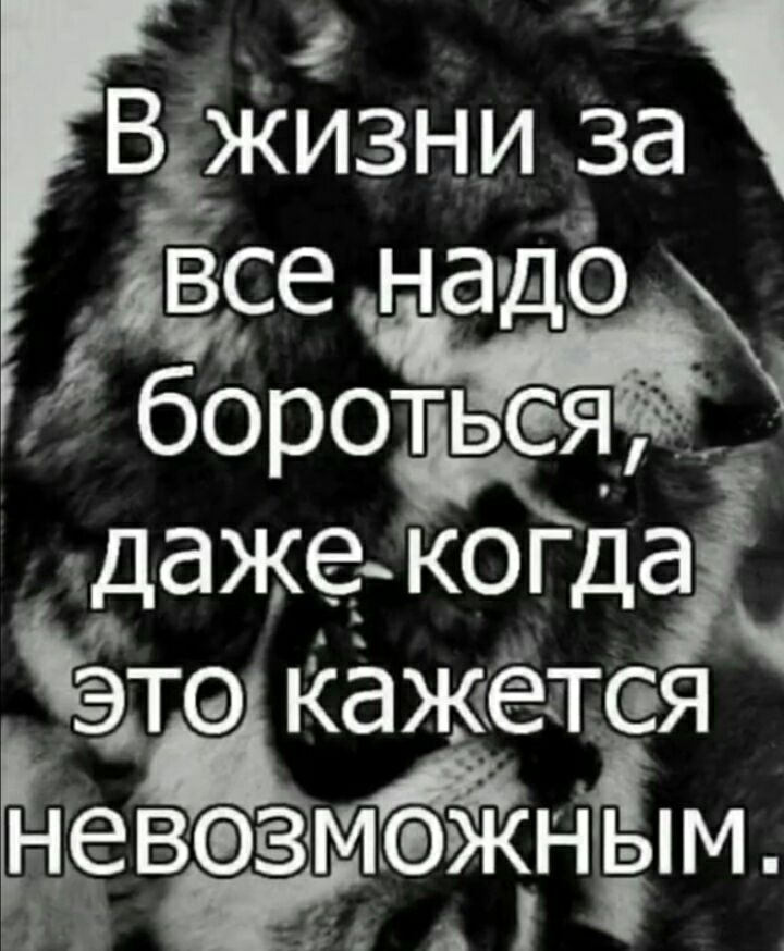 ;; ч вжизни за ёвсе надо г. Борот'ья  17 лщ дажекогда этэ кажётся чевозибж евезмжн;эпм. Вч ё: , ' .