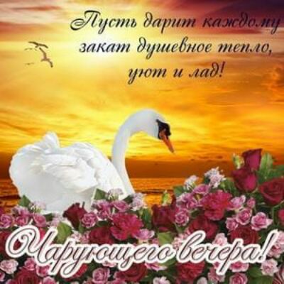 7001 П закат 19 едина теплу 10 4419