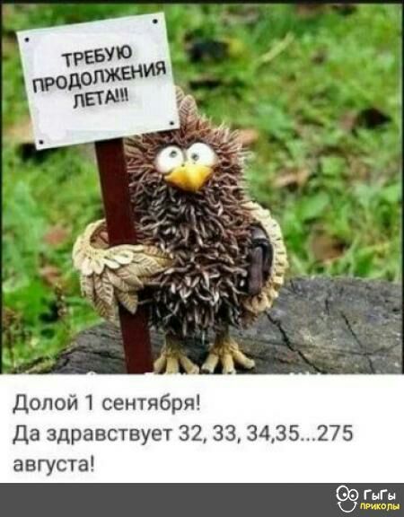 Долой сентября Да здравствует 32 33 3435275 августа ГыГн к
