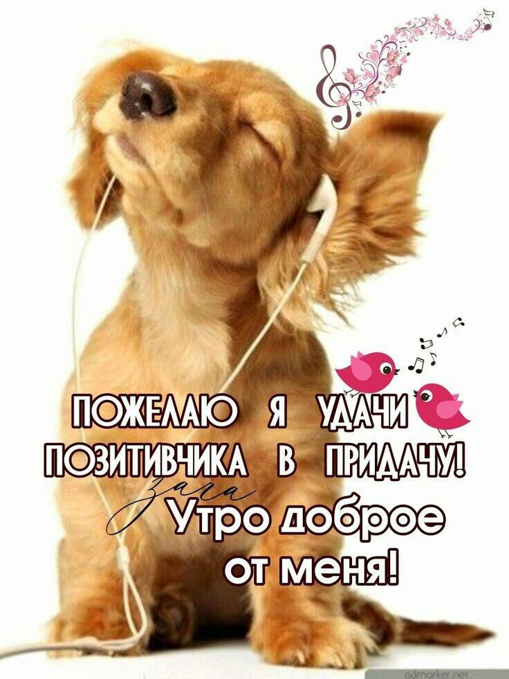 ПЗИТИКЪ ПРИААЧУ а ___ _
