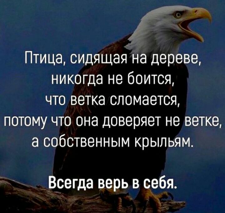 Птица сидящая на дереве никогда не боится что ветка сломается потому что она доверяет не ветке а собственным крыльям Всегда верь в себя