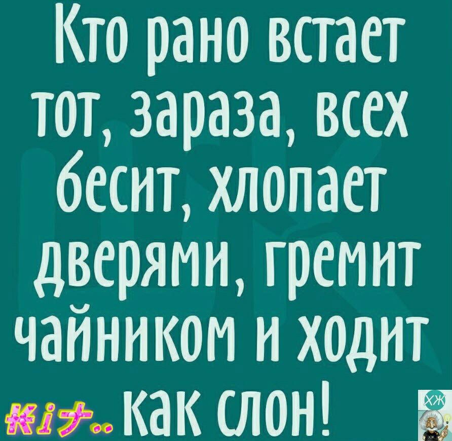 Кто рано встает тот зараза всех бесит хлопает дверями гремит чайникои и хоцит ли как слон