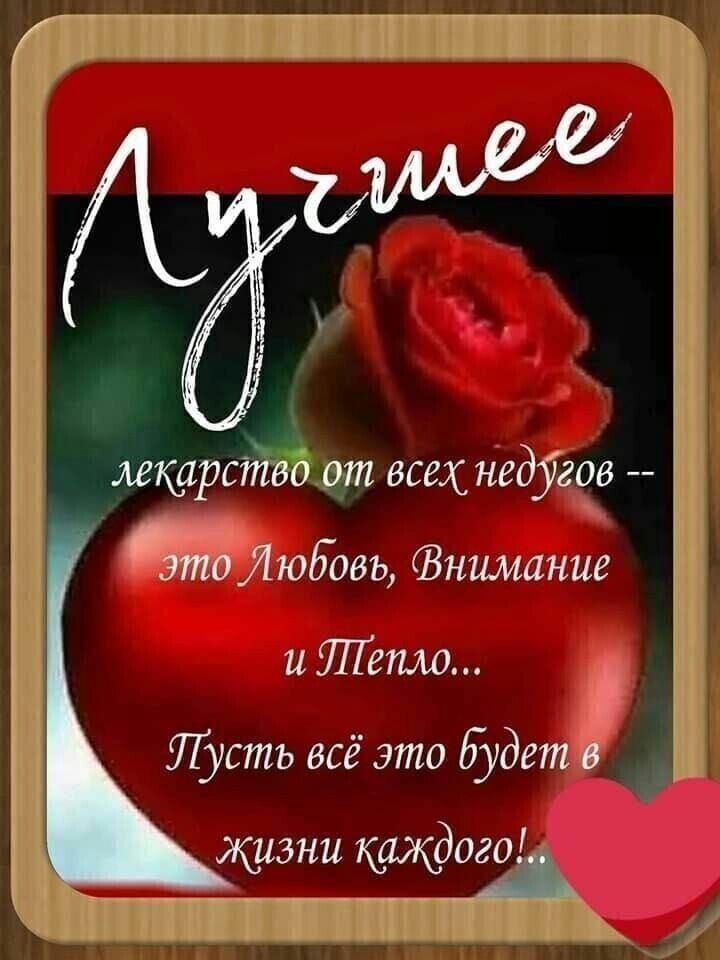 лекарс всех недуге Любовь ншиание и тепло Пусть всё это Будет жизни каждого