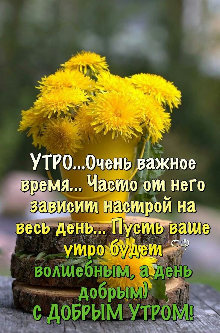 1 УТРО Очень важное аг время Частощт него