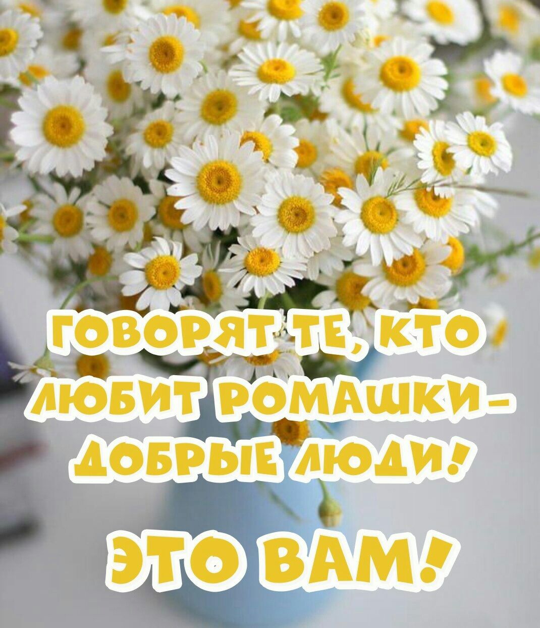 Хюди АОБЁЫ это ВАМ