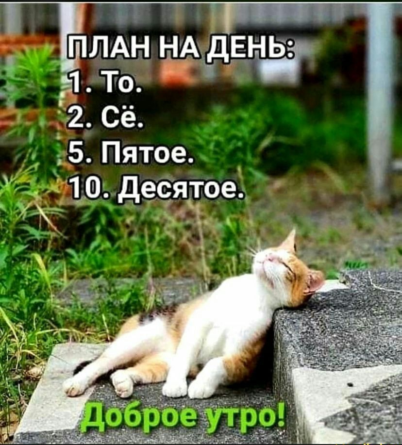 ПЛАН 11 То 2 Сё 5 Пятое 10 деся5гое 1 ЫАЁЦЕН в