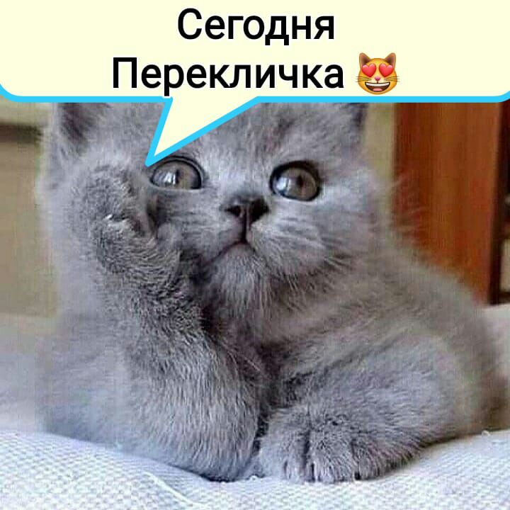 Сегодня Перекличка