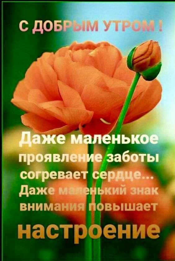 с дов даже мапеньк проявление заботь согревает сердце Даже мзпенький чнак вжир