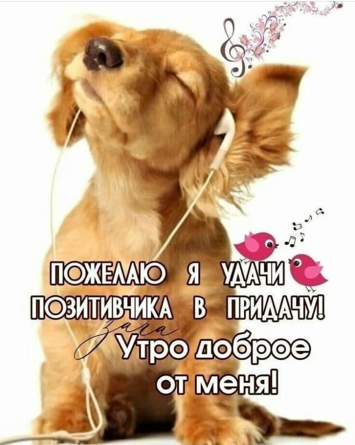 ПЗИТИКА В