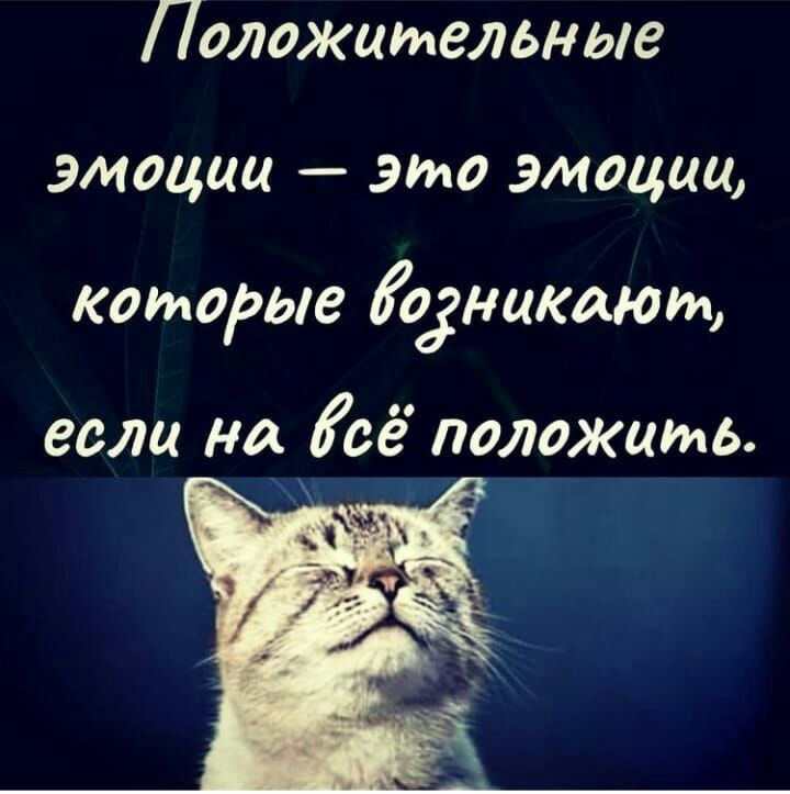 Положительные эмоции это эмоции которые огништа если на Кое положить