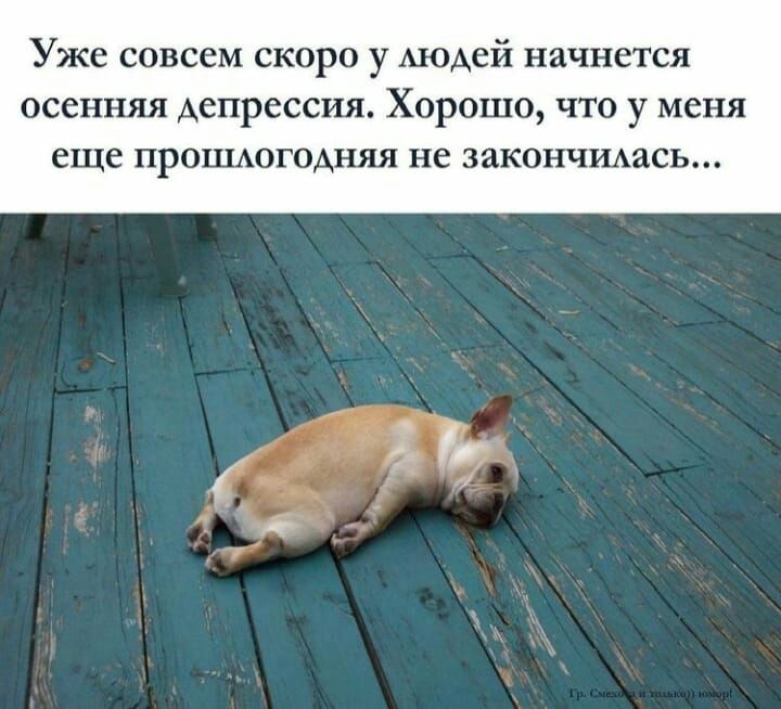 Уже совсем скоро у Аюдей начнется осенняя депрессия Хорошо что у меня еще ПРОШАОГОАНЯЯ не ЗЯКОНЧИАЯСЬ