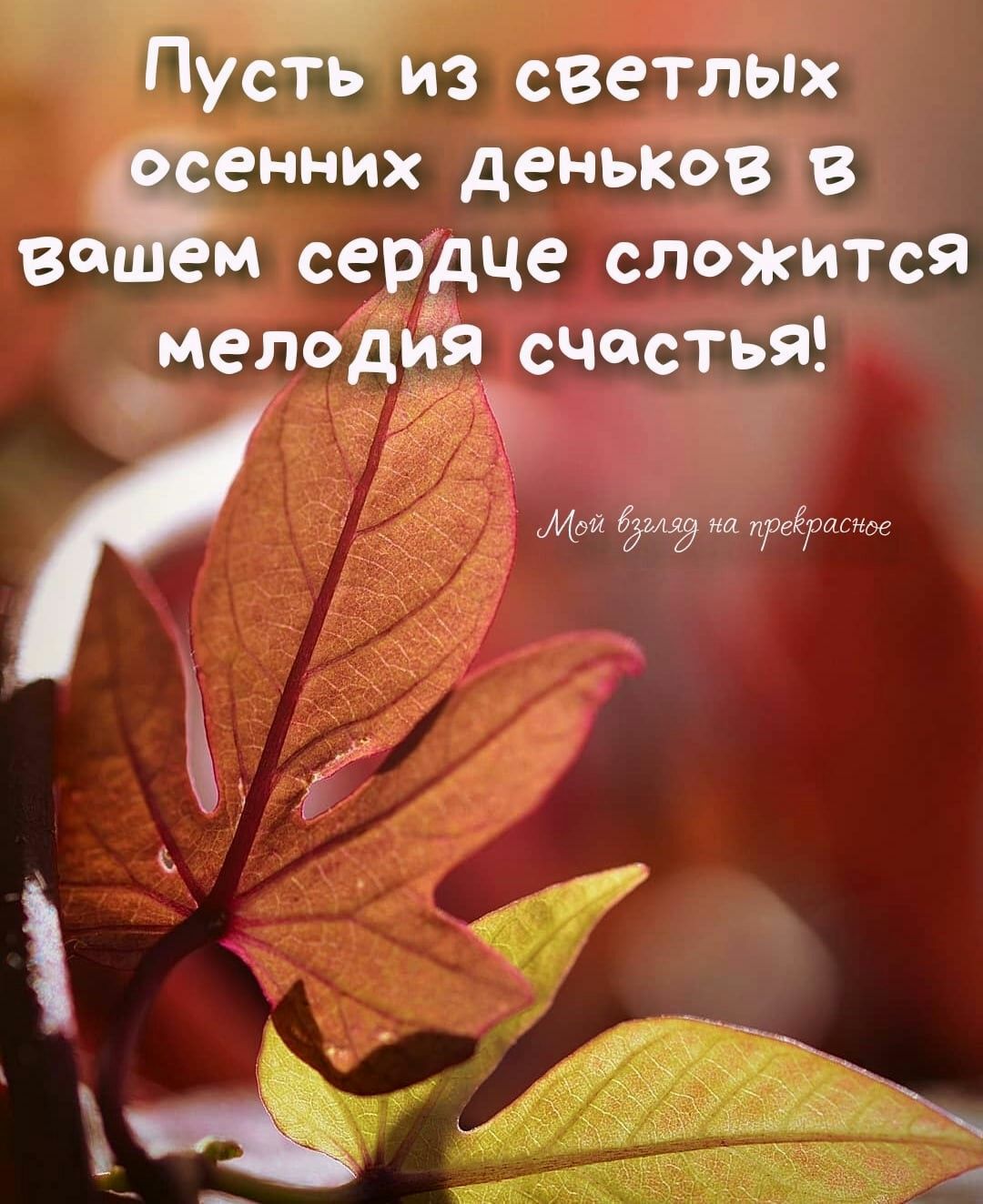 З СВСТЛЫХ нних деньков В м сердце сложится Мела и счастья мэй ияг на РеЁюаснде