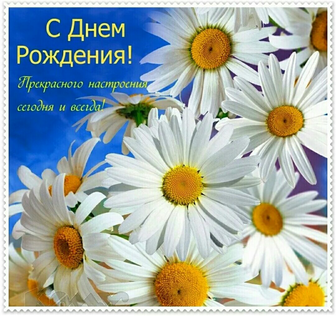 А  ъ ы  ь,     дения! С днем рох к
