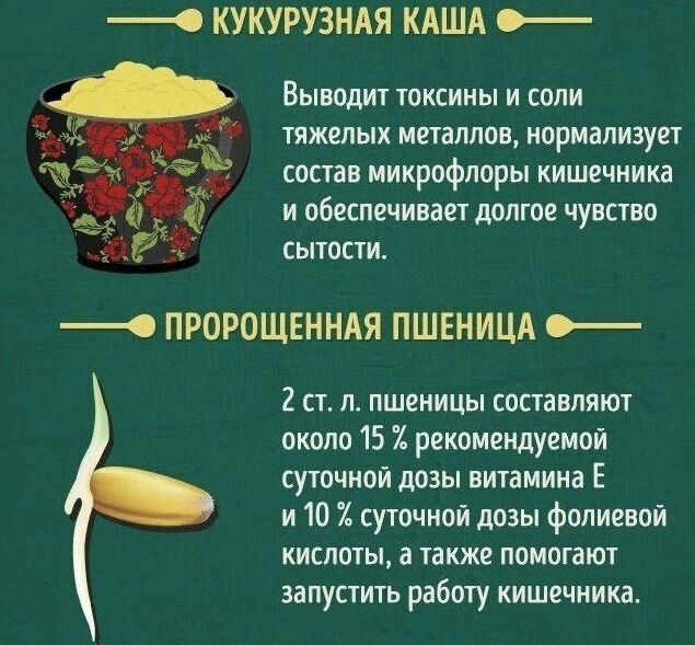 КУКУРУЗНАЯ КАША Выводит токсины и соли тяжелых металлов нормализует состав микрофлоры кишечника и обеспечивает долгое чувство сытости О ПРОРОЩЕННАЯ ПШЕНИЦА 2 ст л пшеницы составляют около 15 рекомендуемой суточной дозы витамина Е и 10 суточной дозы фолиевой кислоты а также помогают запустить работу кишечника