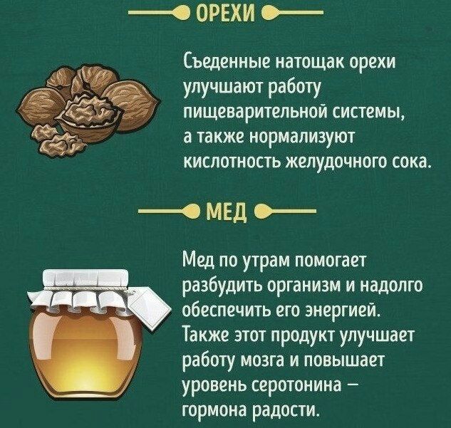 О ОРЕХИ Съеденные натощак орехи улучшают работу пищеварительной системы а также нормализуют кислотность желудочного сока ОМЕД Мед по утрам помогает разбудить организм и надолго обеспечить его энергией Также этот продукт улучшает работу мозга и повышает уровень серотонина гормона радости