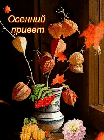 ц _ Осенний _ п ивет