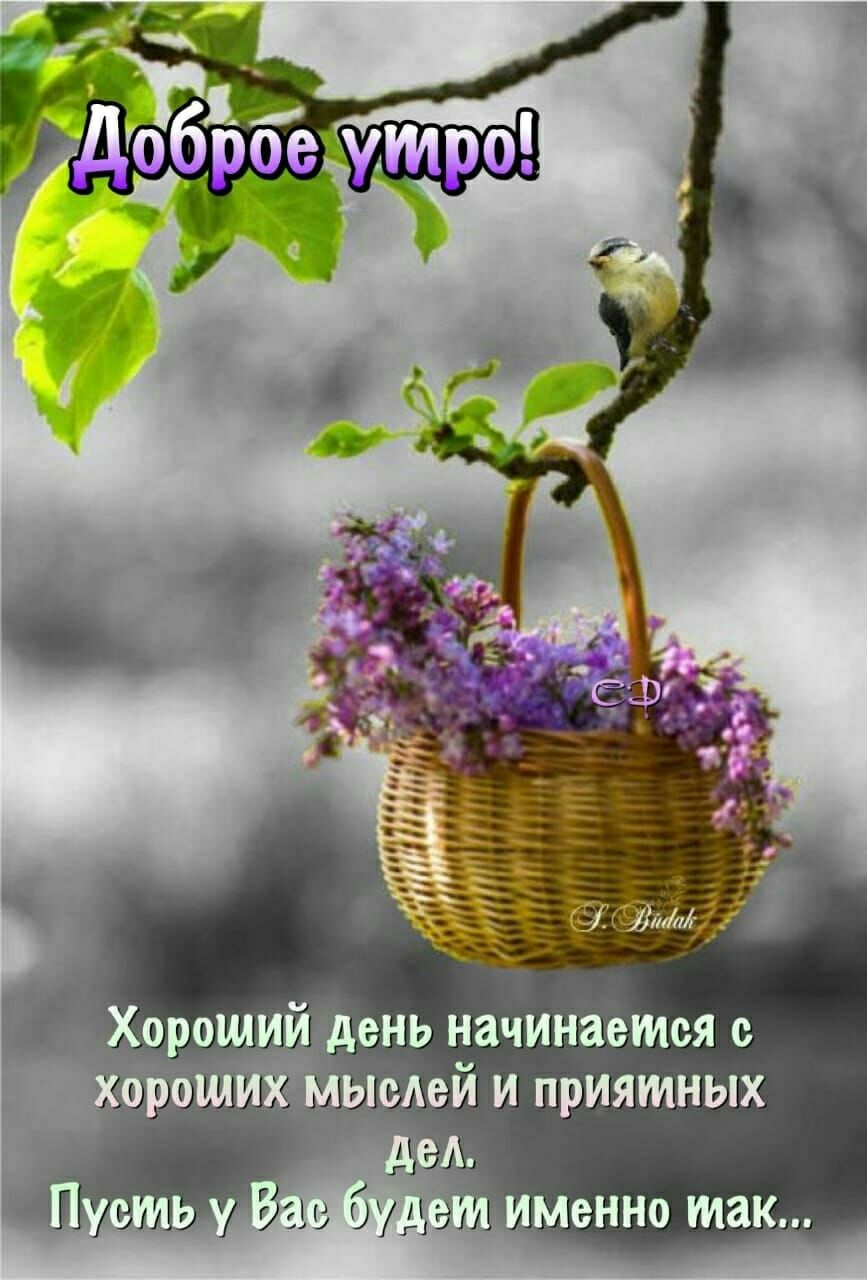 у _ кпо 5ень начинёётся с КЩШЬШШ ЬЮЁЪИ и приятных 53333 Пь де Ш буд ати