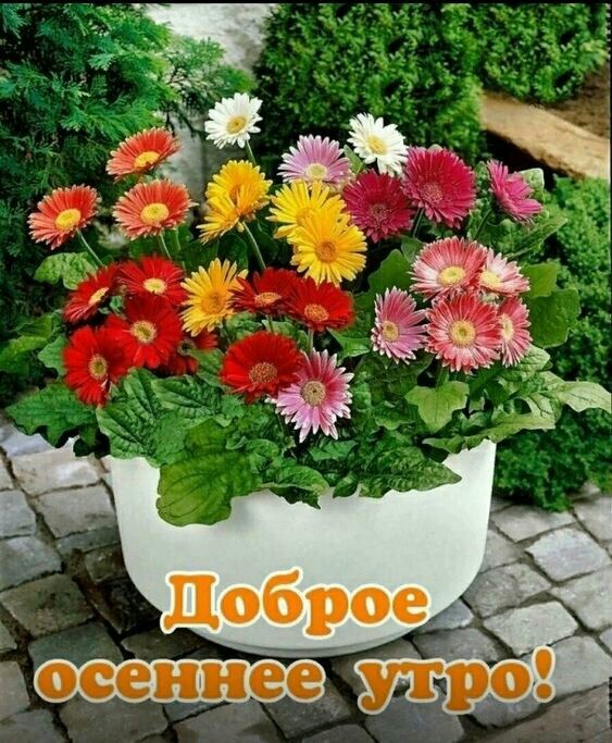 1 утро