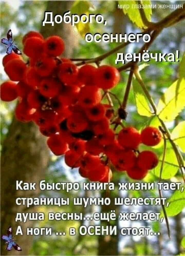 __ рейды ш душёйны д Ане 1 3