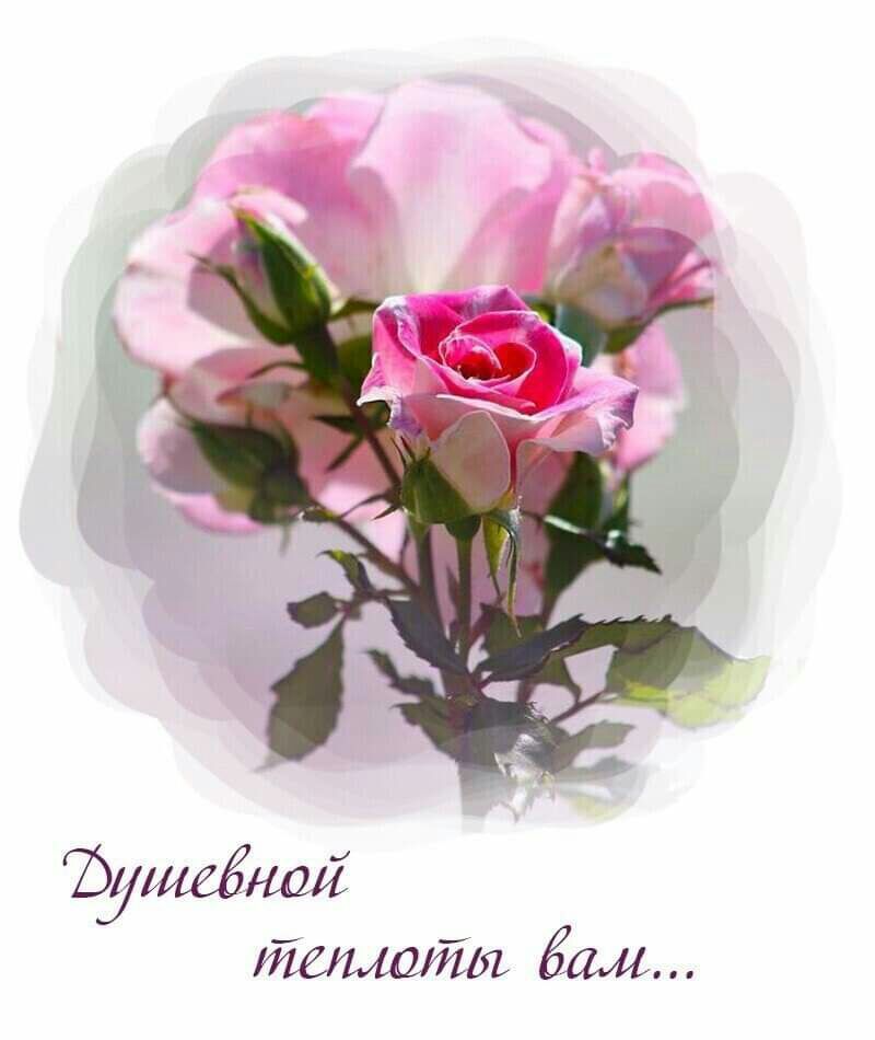 Ъушеёщш ,леллоть. Ва.м...