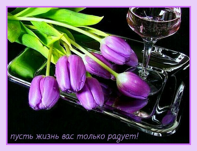 Ь пусть жизнь вас только радует! '