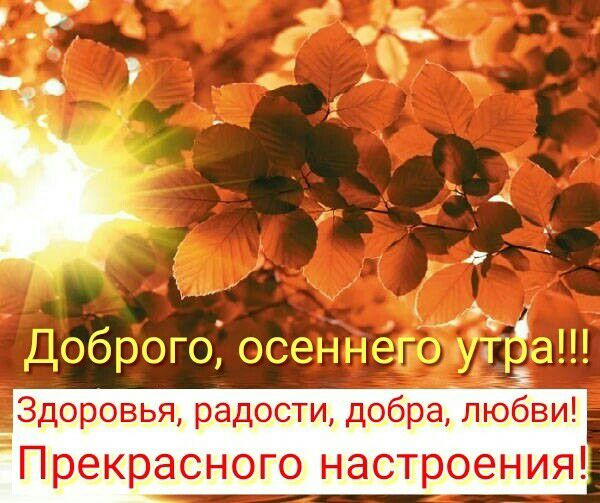 з Здоровья радости добра любви Прекрасного настроения