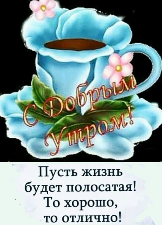 Пусть жизнь будет полосатая То хорошо то отлично