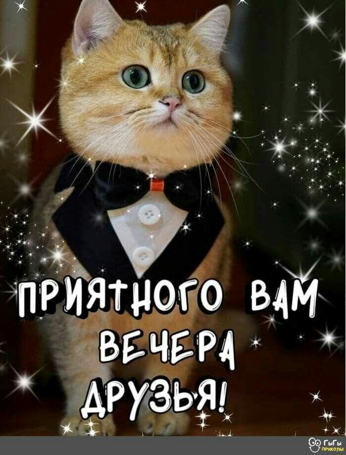 д _ триятиото вам 6ввчщ фРХЗлЬЭЁ ЁЁ