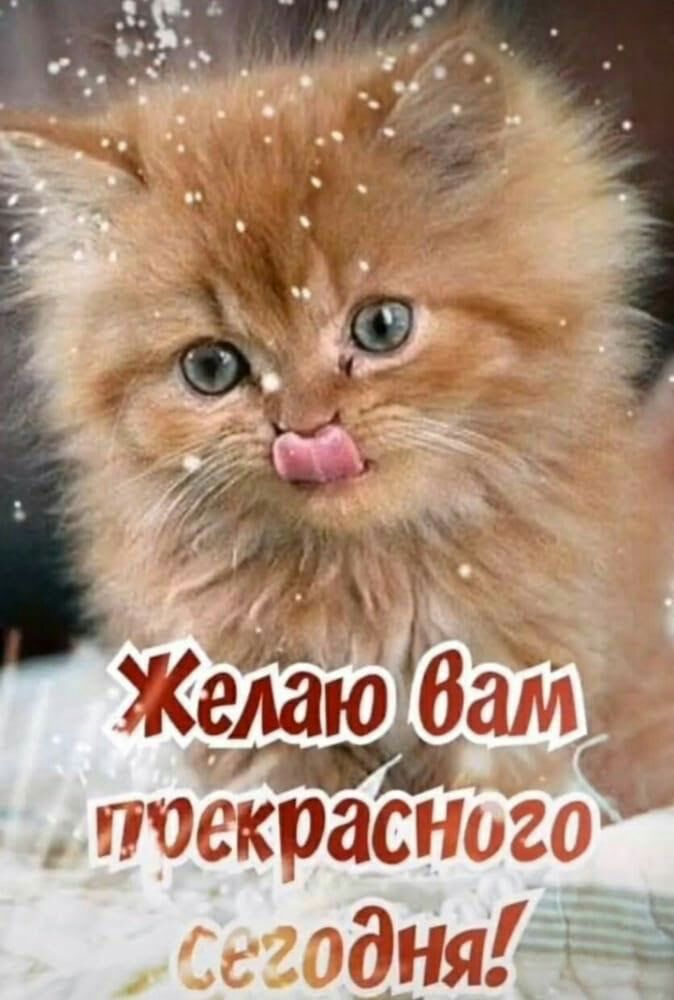 1111жкпаСЕ дитя