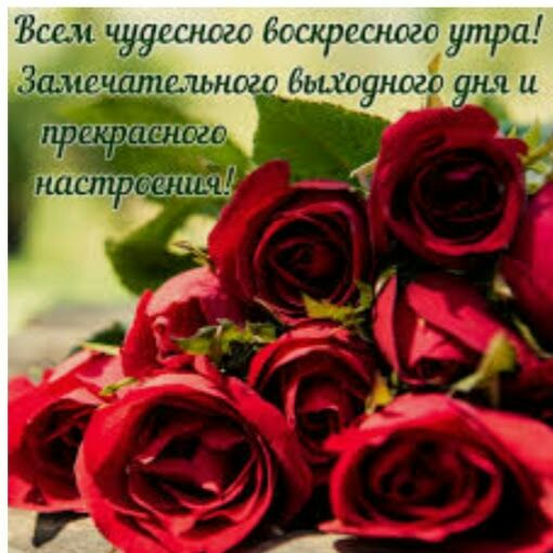 ВССЁ чууГСЛС ЗС БССКРССНШО утра