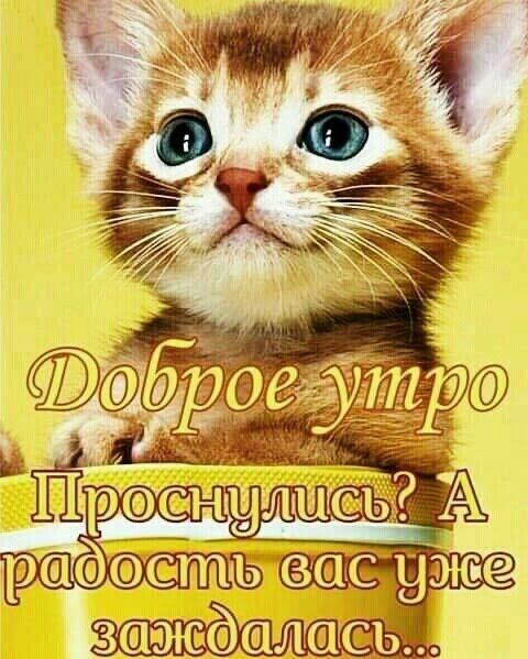 рйулис А рщёэстъ с уже