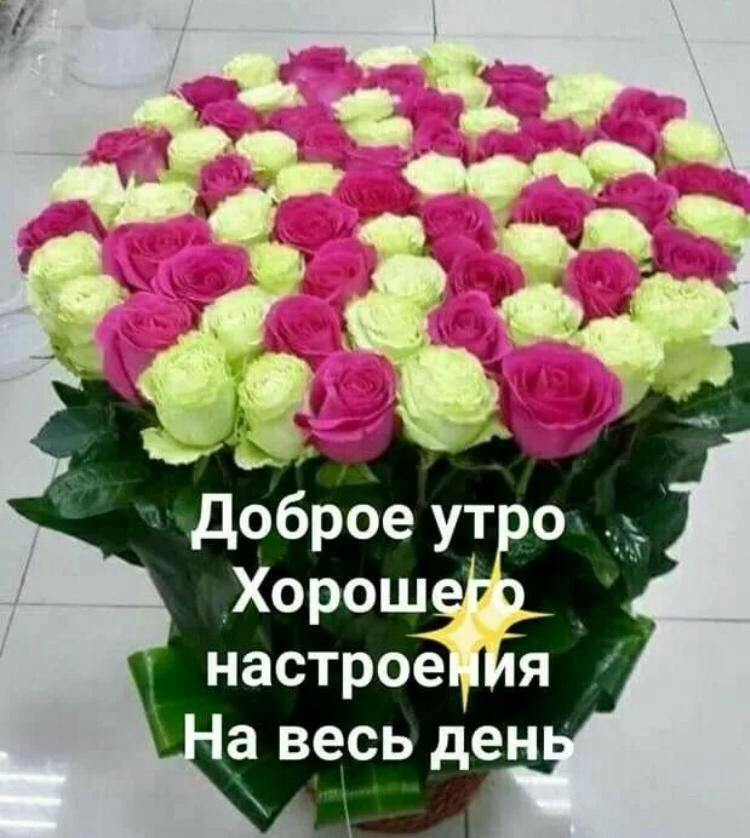 доброе ут о _Хорош _ настрое я а весь ден