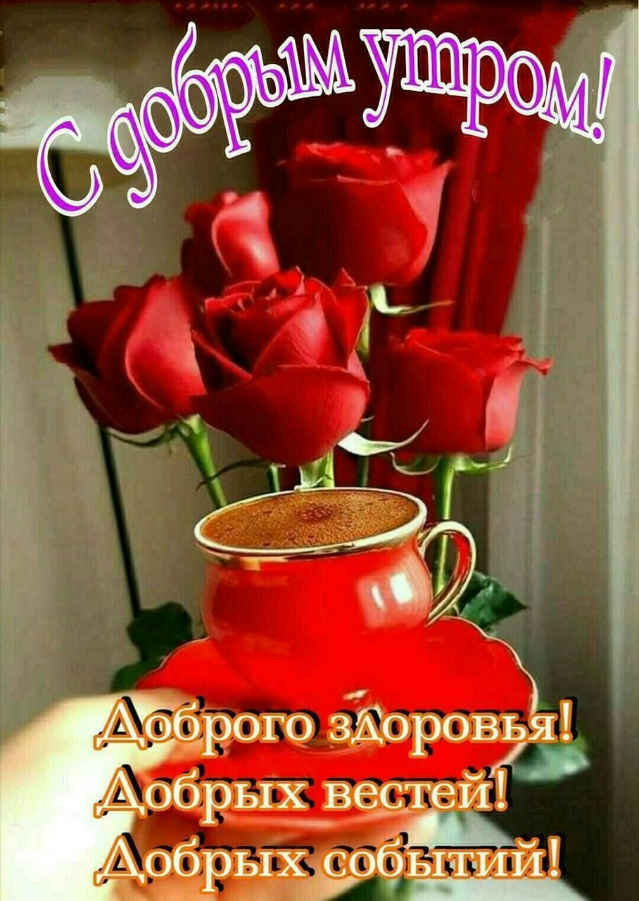 Доброго здоровья Добрых ведтей 7 __ Добрыхьсрфытии _ ь _