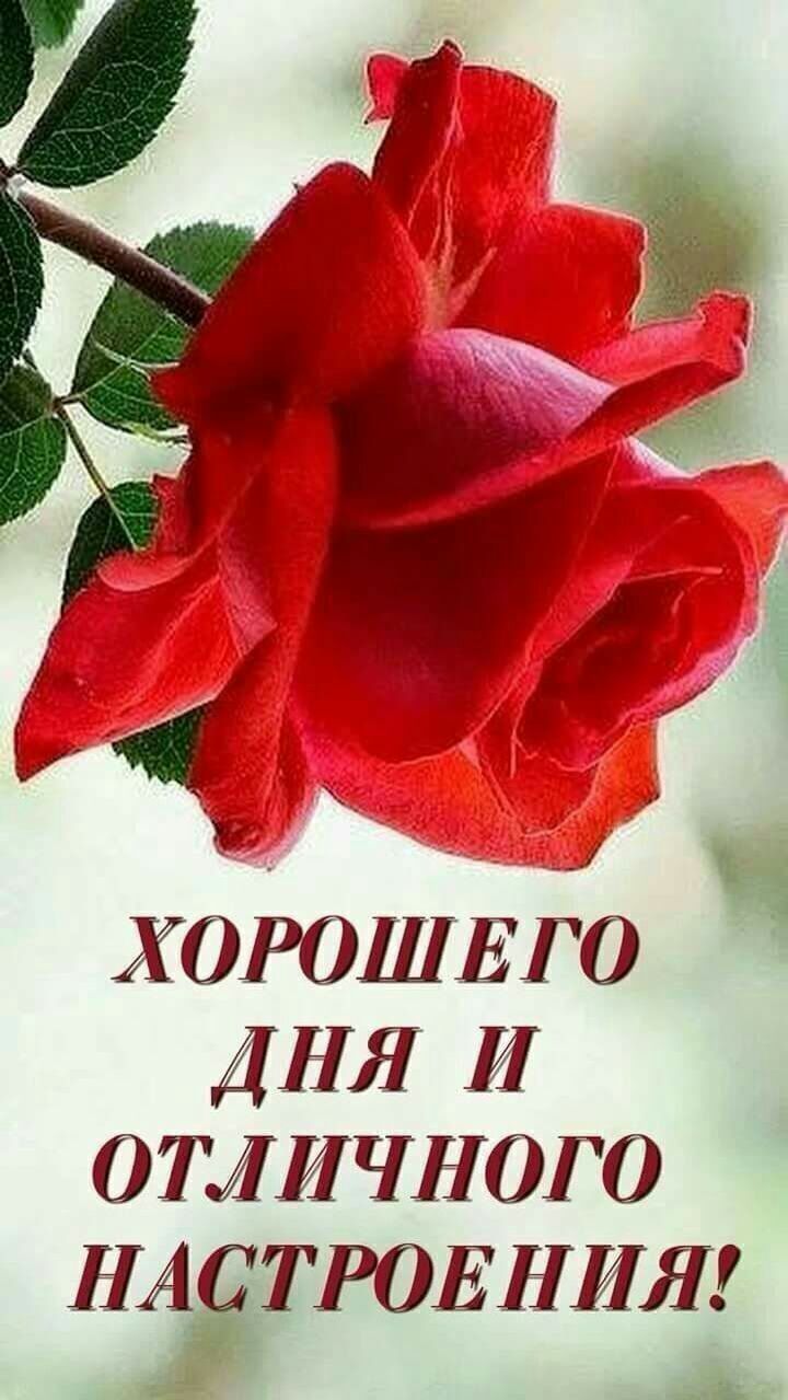 _ ХОРОШЕРО ДНЯ И ОТЛИЧНОГО Н ТРОЕНИЯ
