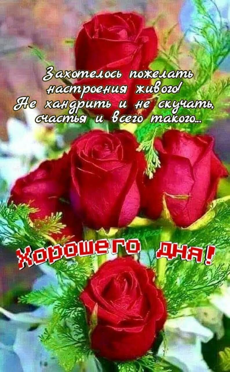Захотелось пожецать _ Ч травия ждёт ёл _ _ Ёритьеи е скучать __ счастья и сего такого __ Ч _ д і и у