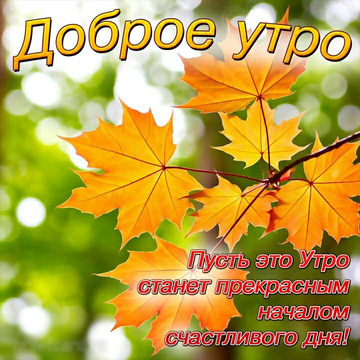началам сщастжтлвэгэ дм